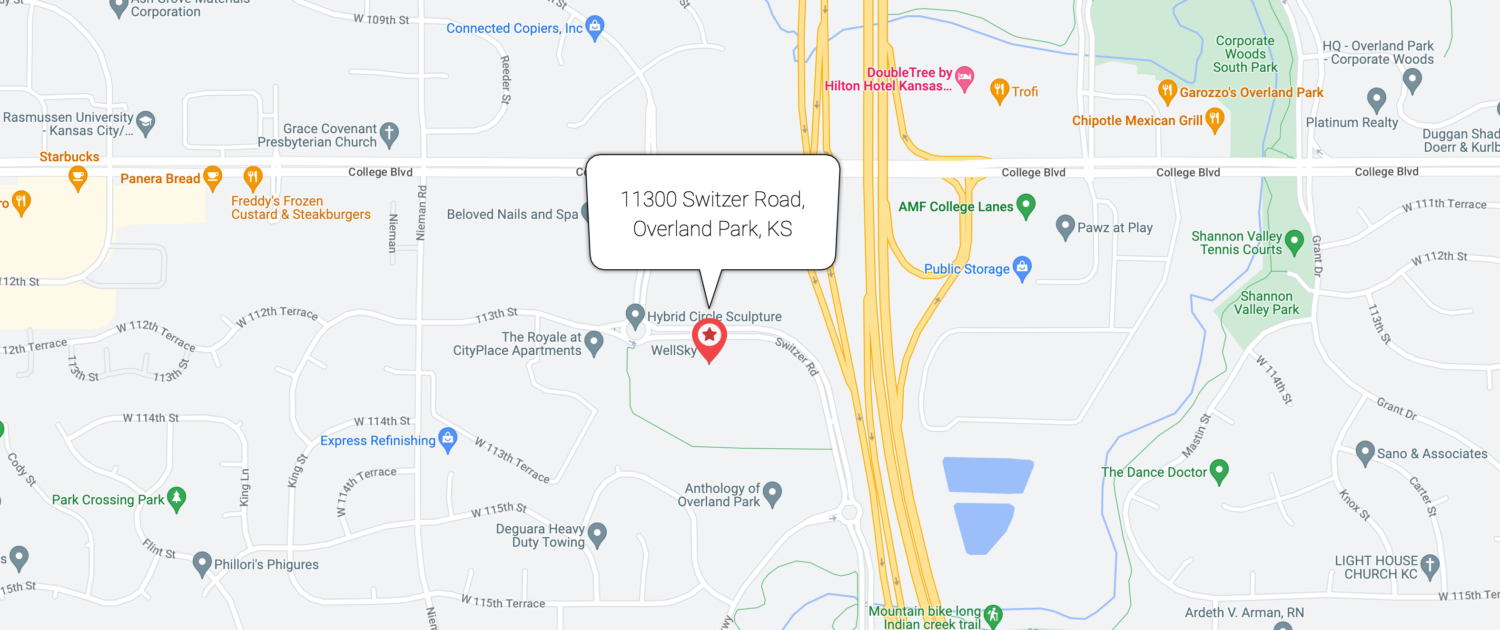 WellSky Foundation Map